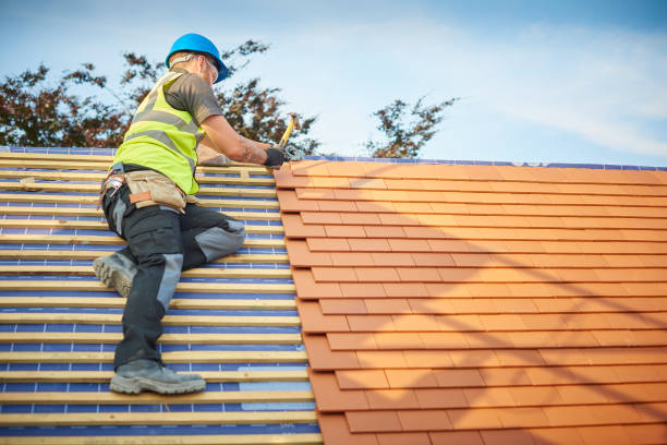 Best Roof Insulation Installation  in Litchfield Park, AZ